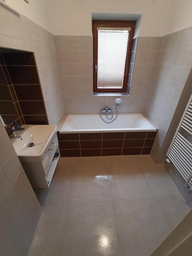 פרכאטיצ'ה Apartmany U Lva מראה חיצוני תמונה