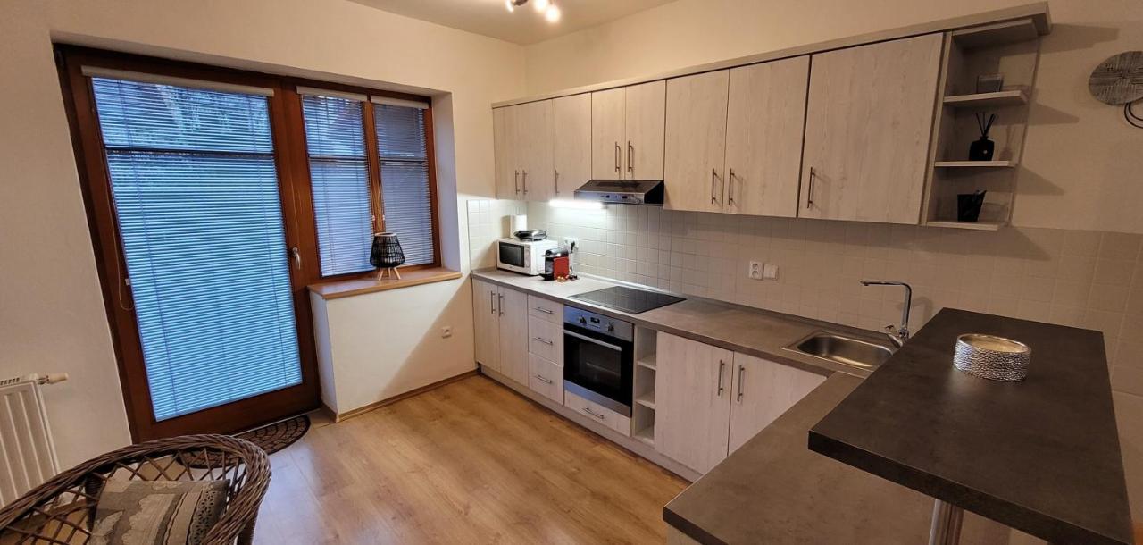 פרכאטיצ'ה Apartmany U Lva מראה חיצוני תמונה
